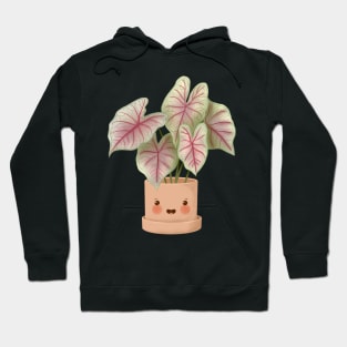 Cute Plant Illustration,Caladium Summer Breeze Illustration Hoodie